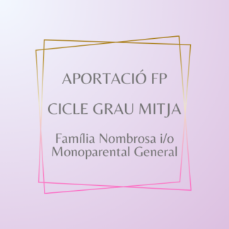 Aportació FP Cicle Grau Mitja Família Nombrosa i Monoparental General