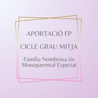 Aportació FP Cicle Grau Mitja Família Nombrosa i Monoparental Especial