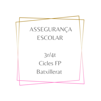 Assegurança Escolar 3r/4t/Cicles/Batxillerat